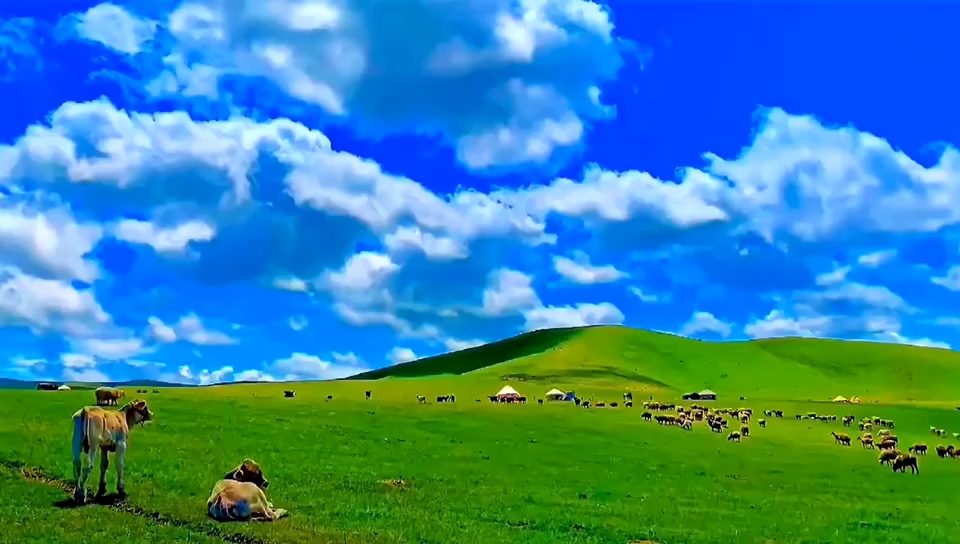 [图]呼伦贝尔－－生态草原－－天堂美景