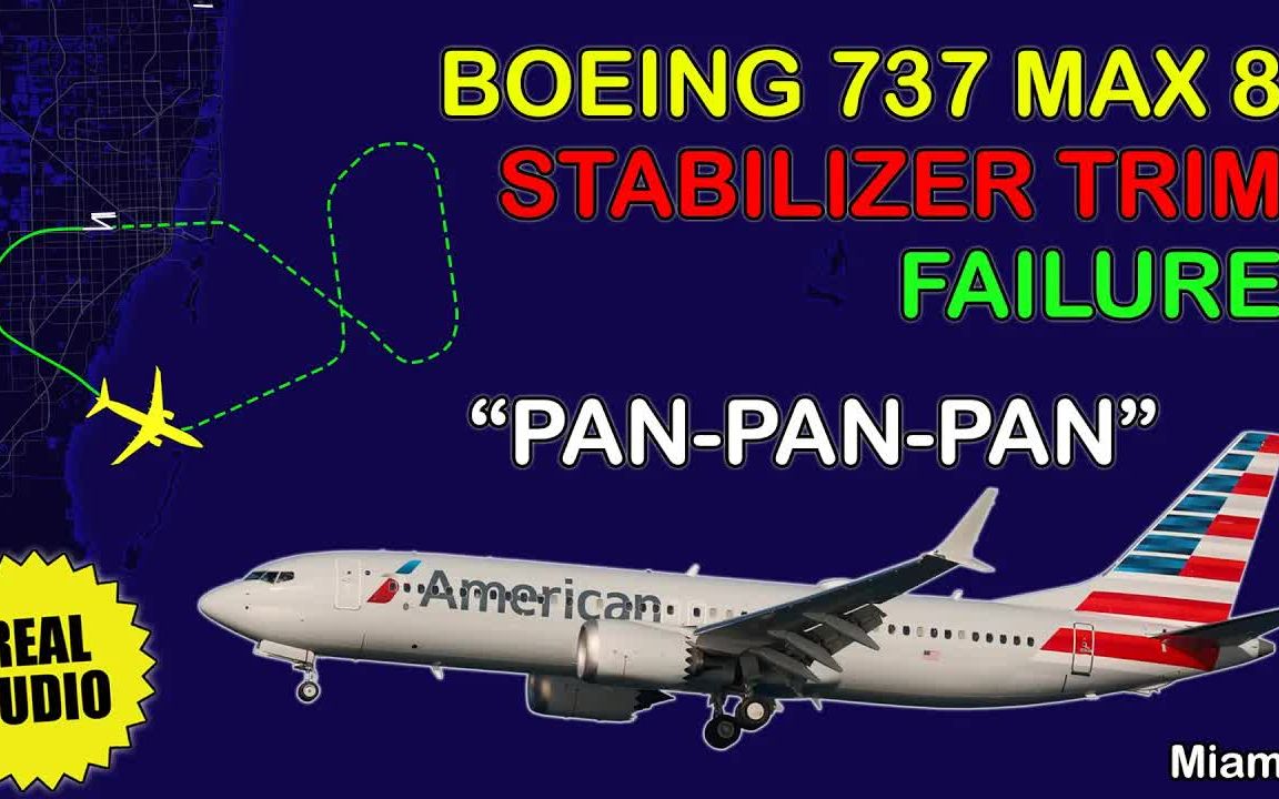 737安定面失控图片