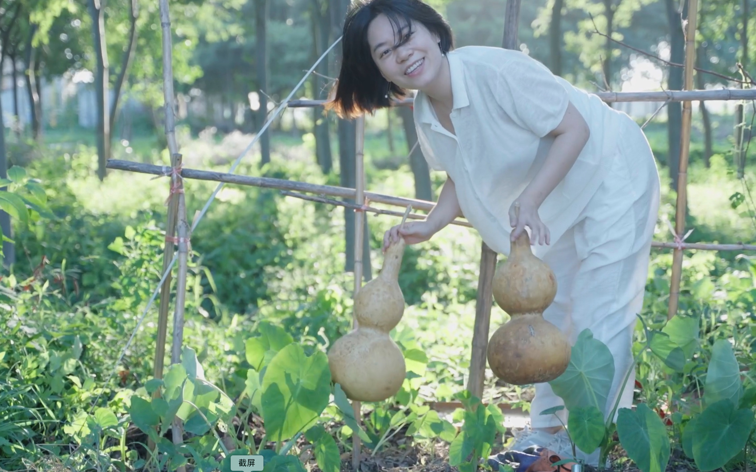 [图]谁不想回家乡