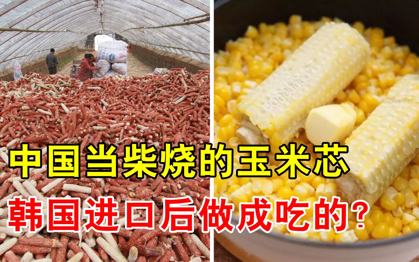中国当柴烧的玉米芯,到韩国却成热销美食?出口还能挣40多亿