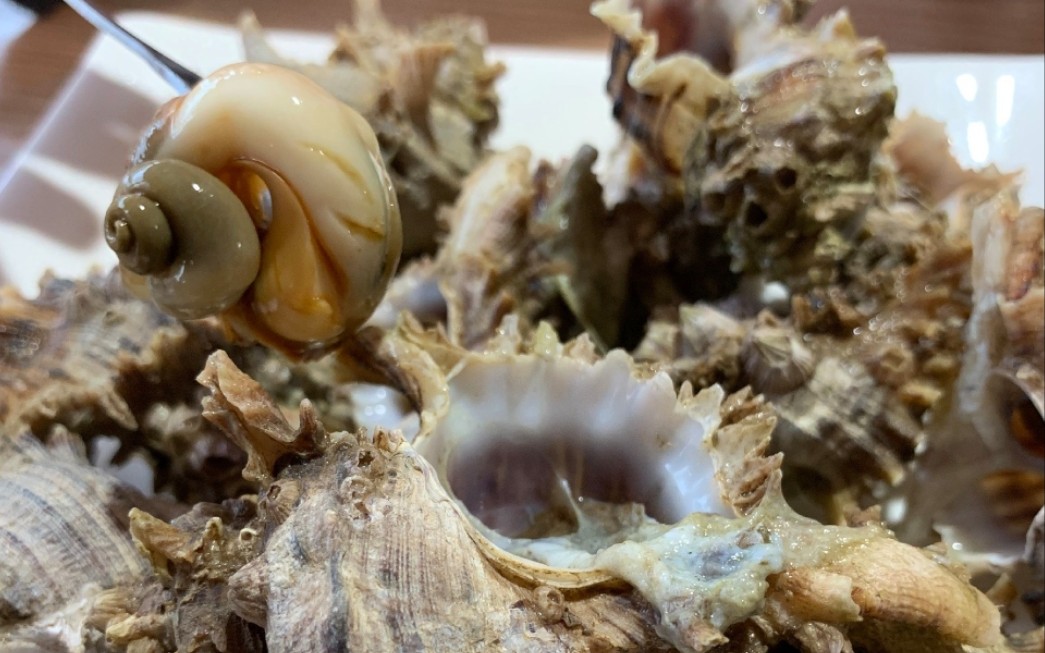 什么螺?哦,八角螺