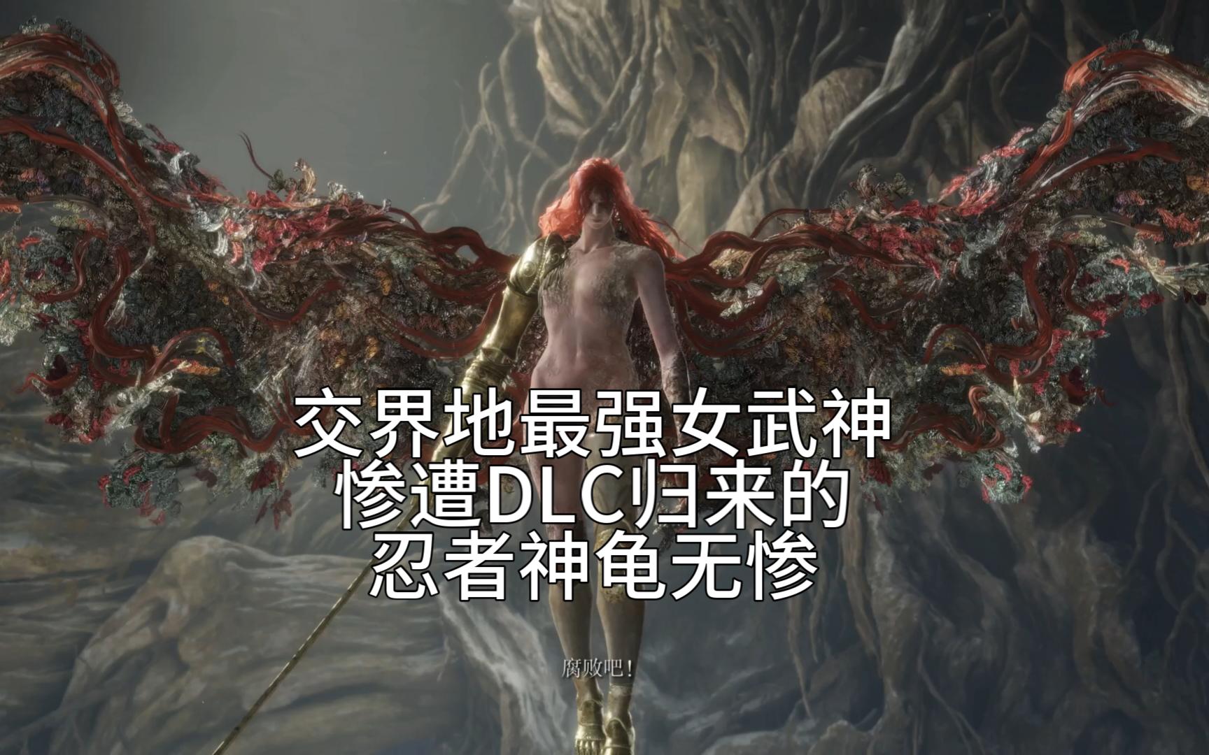 老头环 dlc归来想看打女武神受苦?安排!