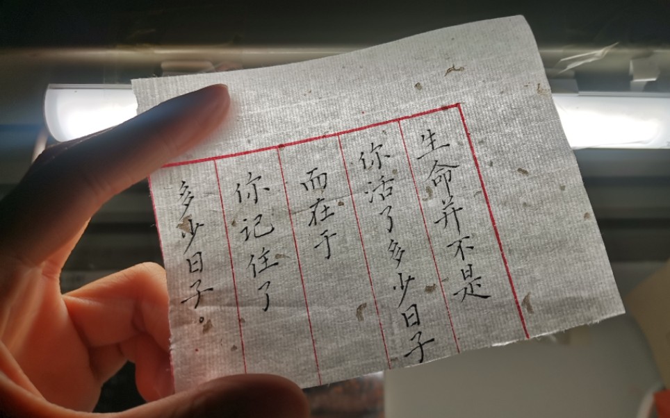 活动  "生命并不是你活了多少日子,而在于你记住了多少日子.