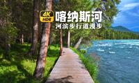 新疆阿勒泰喀纳斯河 4K HDR - 在中国最美的河滨步行道漫步