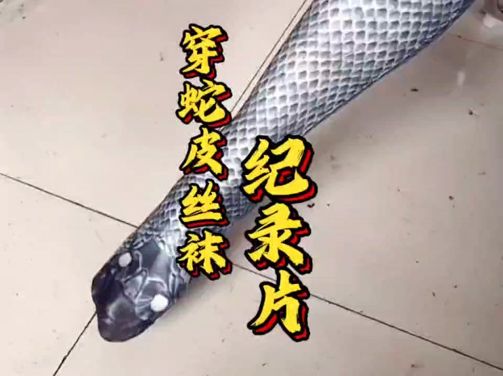 大型记录了,蛇皮丝袜