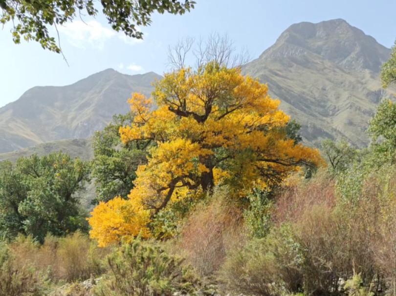 新疆 巴音郭楞蒙古自治州 和静县 克尔古提神秘峡谷(竖屏)
