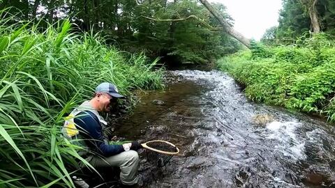 アンバサダーとグラスロッド 最高に楽しい組み合わせ 釣れる道具よりも釣りをしていて楽しい道具 パラゴンg411 哔哩哔哩 Bilibili