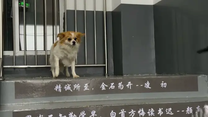 传递爱
