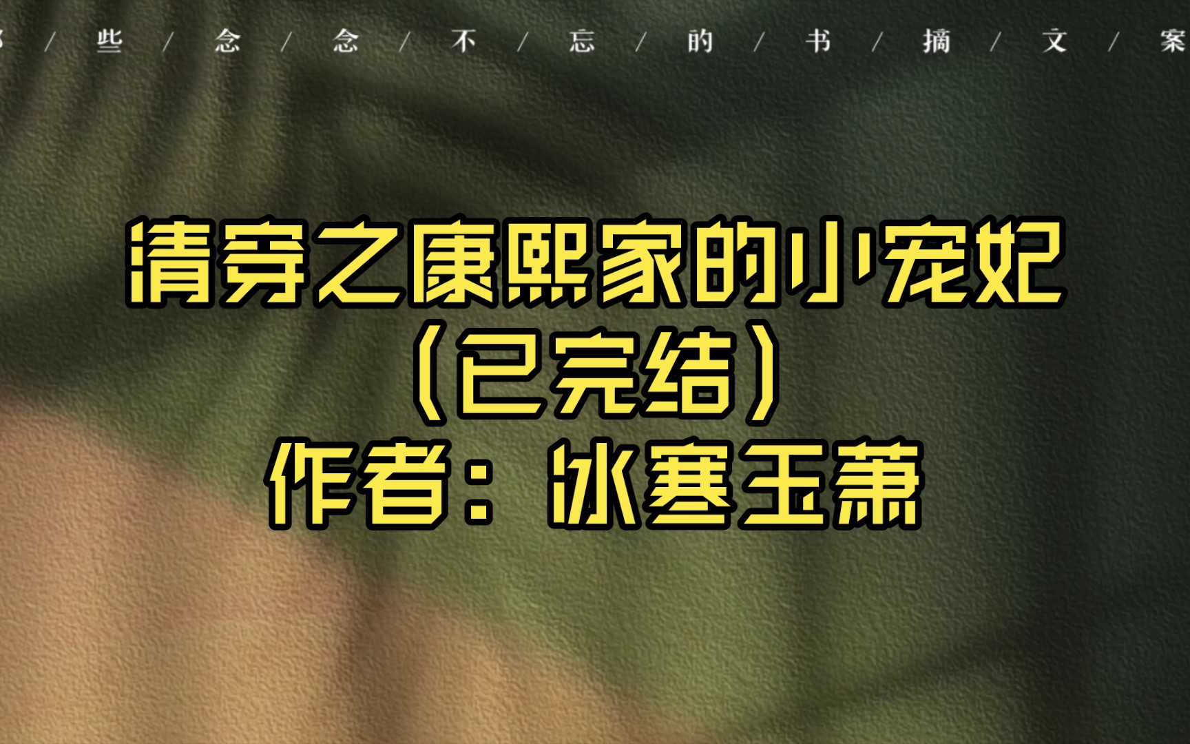 【言情推文】清穿之康熙家的小宠妃(已完结)作者:冰寒玉萧哔哩哔哩bilibili