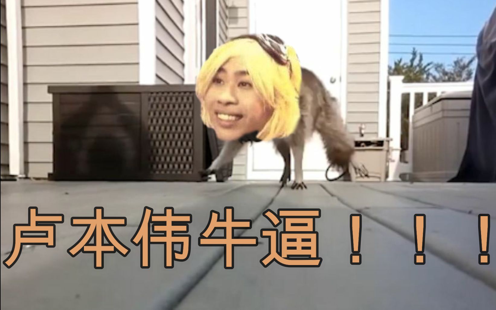 灵魂p图来自卢本伟的攻击