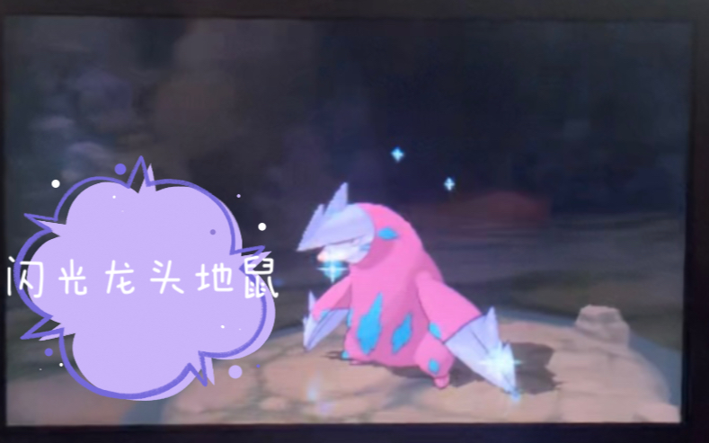 oras 闪光龙头地鼠get 幻岛洞穴连锁