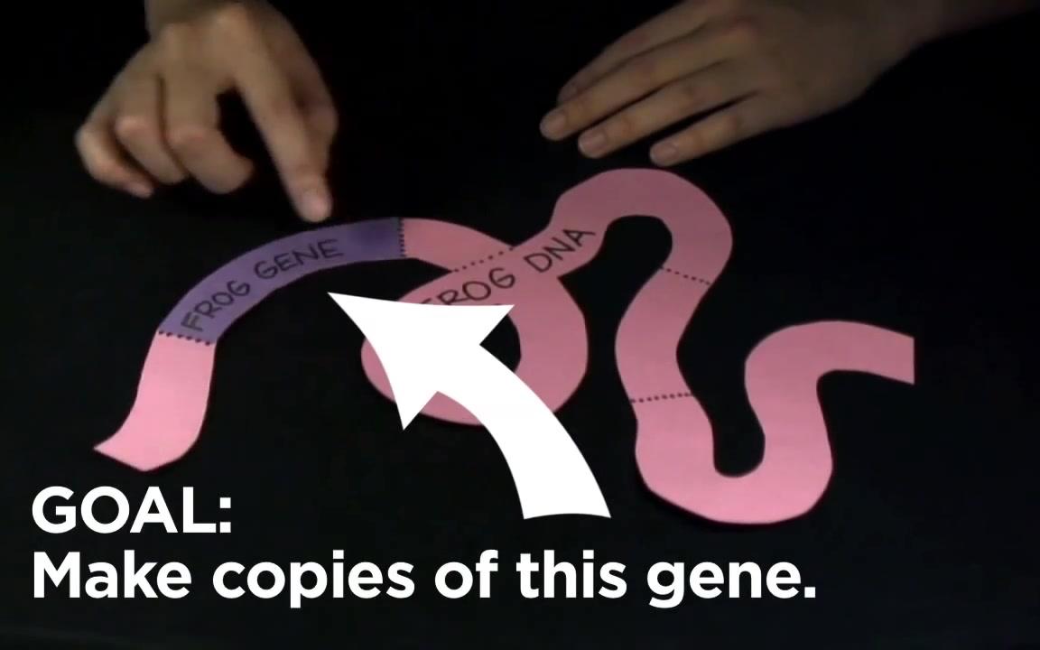 [图]Genetic Engineering - YouTube