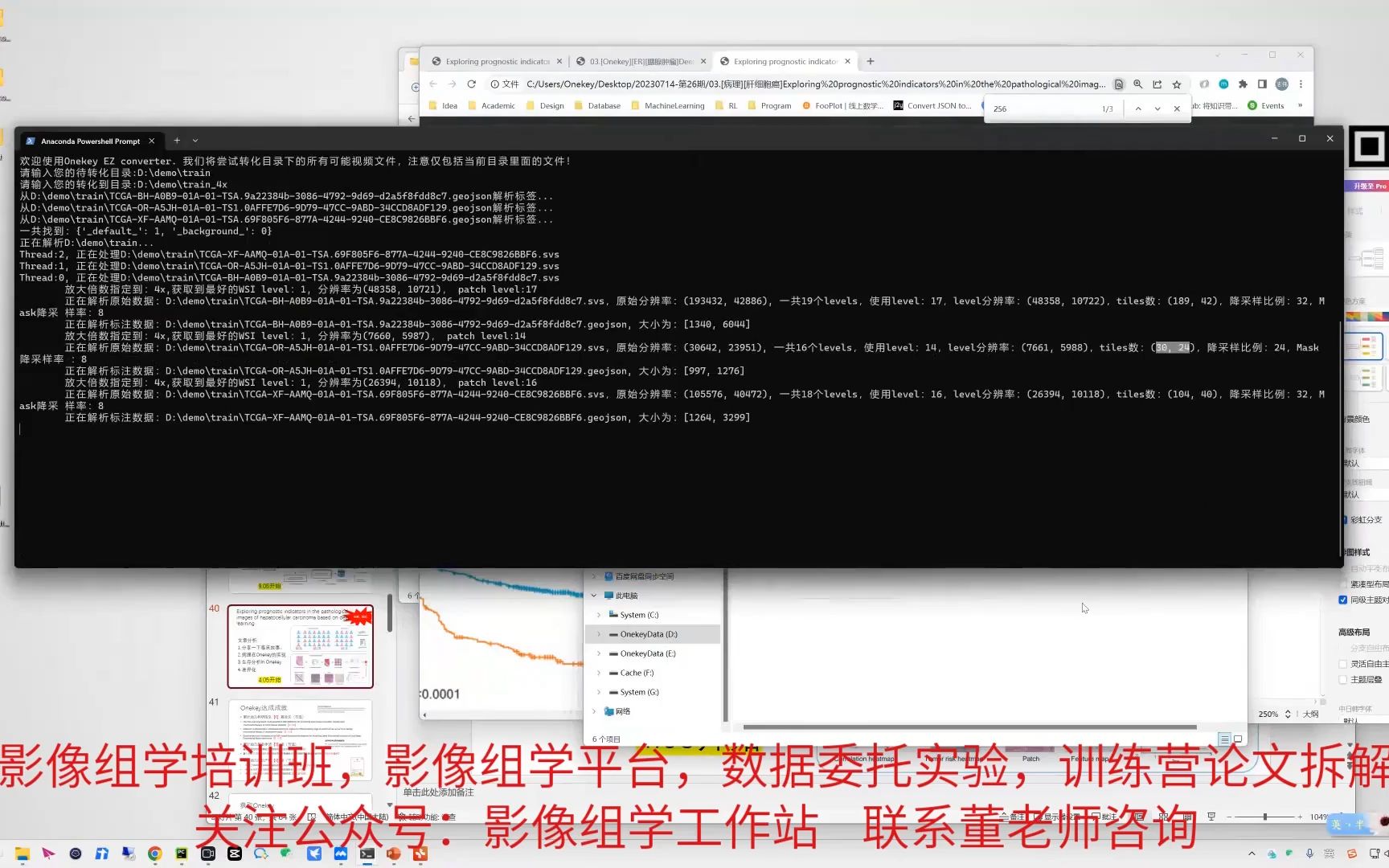 如何通过深度学习技术分析心脏病理切片中的病变类型,预测患者的生存时间?哔哩哔哩bilibili