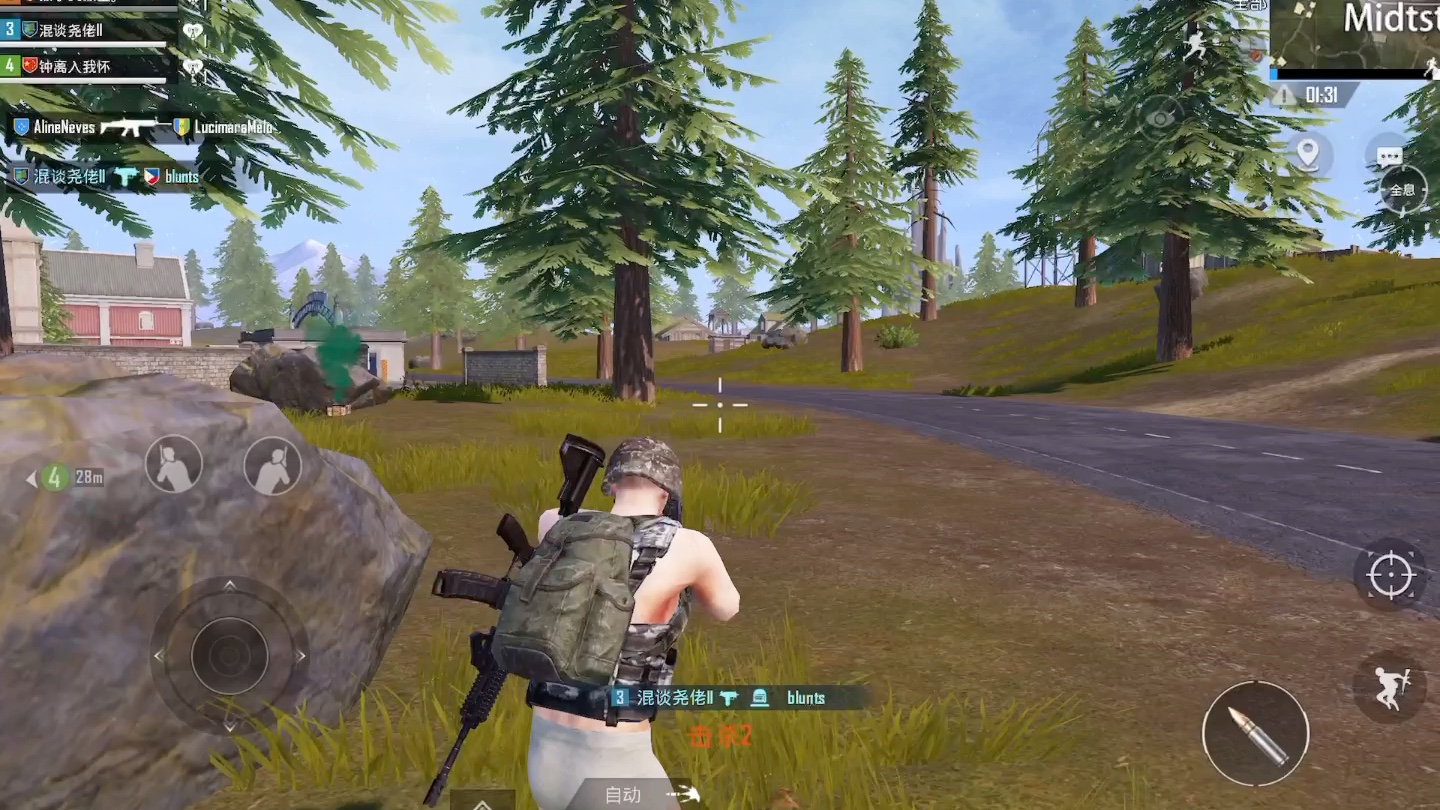 pubg国际服山谷打野