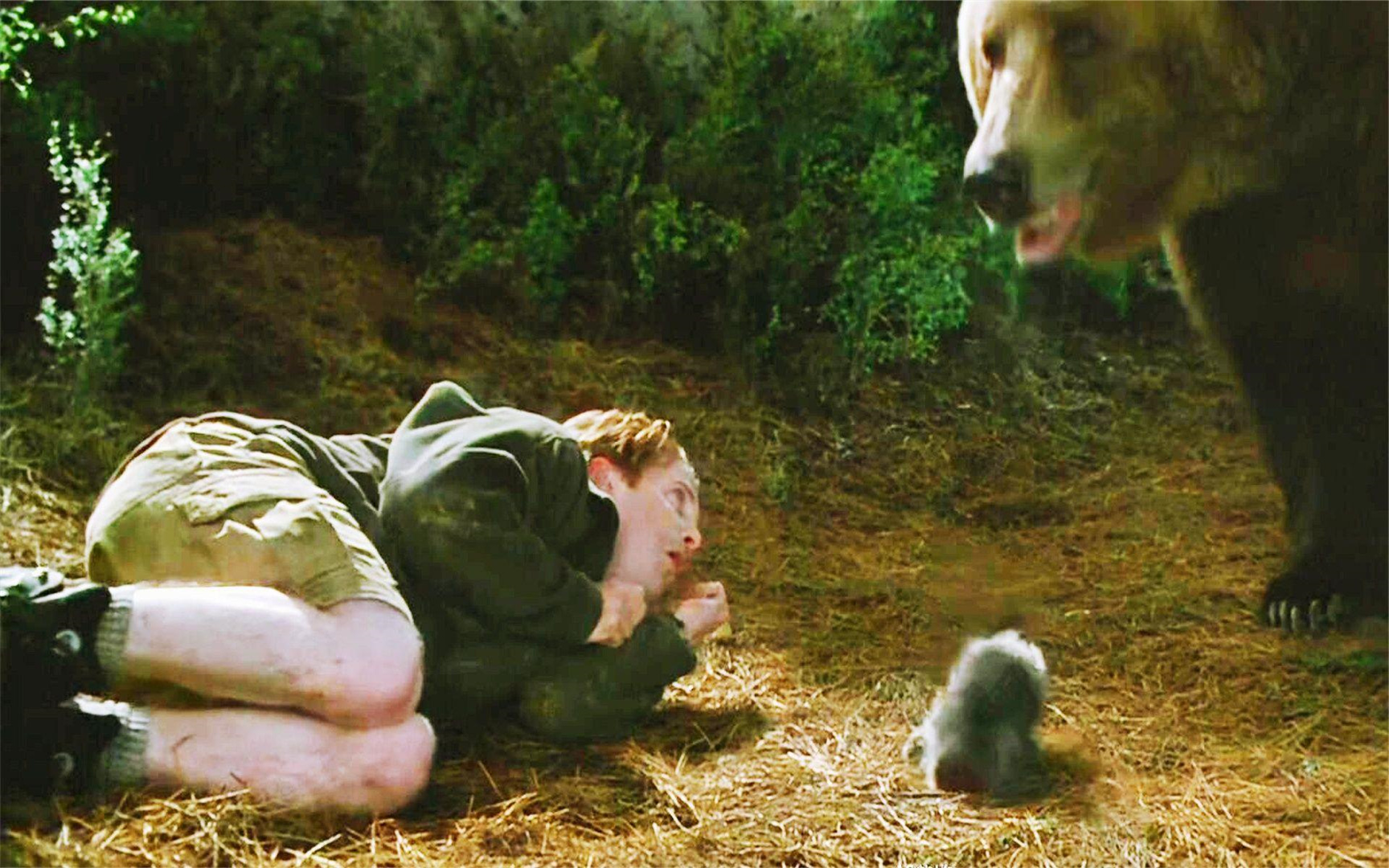 男主被大灰熊当成幼崽,圈养在洞穴里,每天都有大鱼大肉吃,电影丨精彩