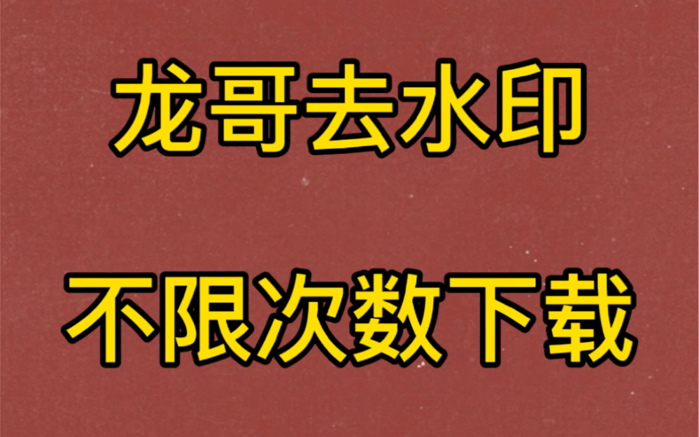 龙哥去水印,不限次数,永久免费.哔哩哔哩bilibili