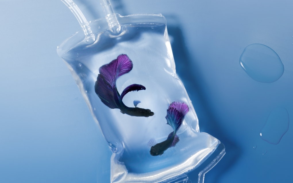 【chilichill】ep_半梦半醒