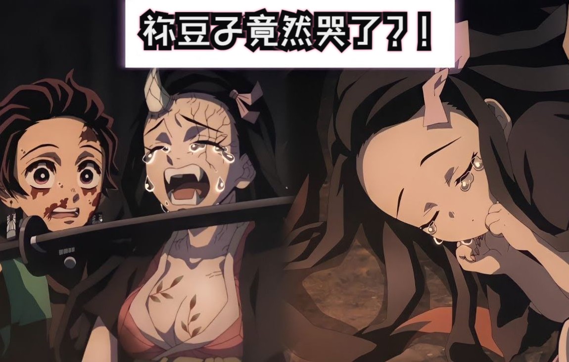 祢豆子竟然哭了心都碎了祢豆子哭的原因究竟是什么