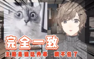 Download Video: 【叶】为了打起精神而多次出现的猫猫睁眼