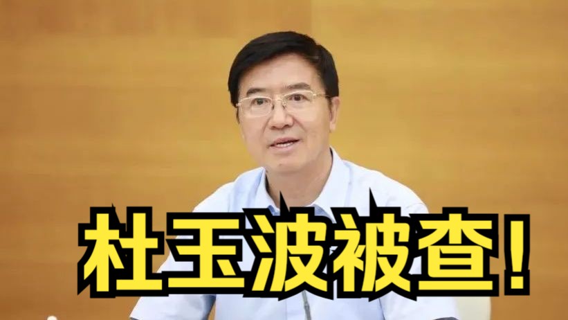 打虎!杜玉波被查哔哩哔哩bilibili