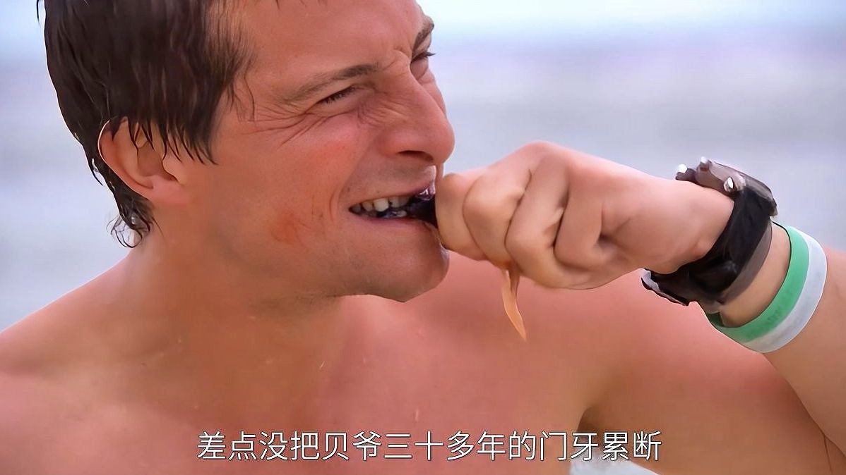 贝爷苏门答腊荒野求生,黄岛炭烤寄居蟹,下海抓刺魟