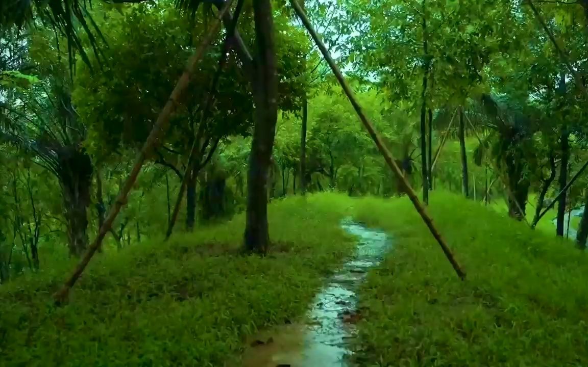 [图]【2小时】落在公园长廊上的温柔雨声，睡眠的最佳白噪音