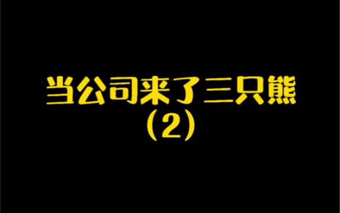 最靓熊仔|当公司来了三只熊后续来了哔哩哔哩bilibili