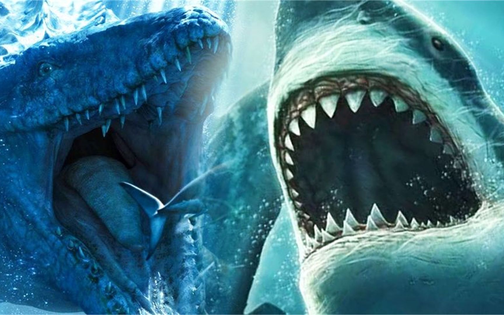 老虎vs巨齿鲨图片