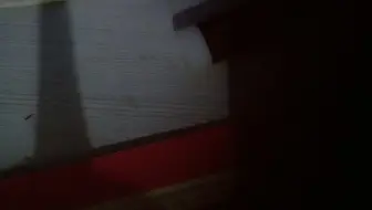 VID2  (1) (35)