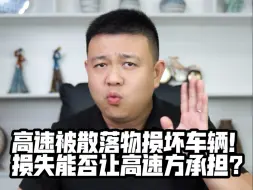 Download Video: 高速被散落物损坏车辆！损失能否让高速方承担？