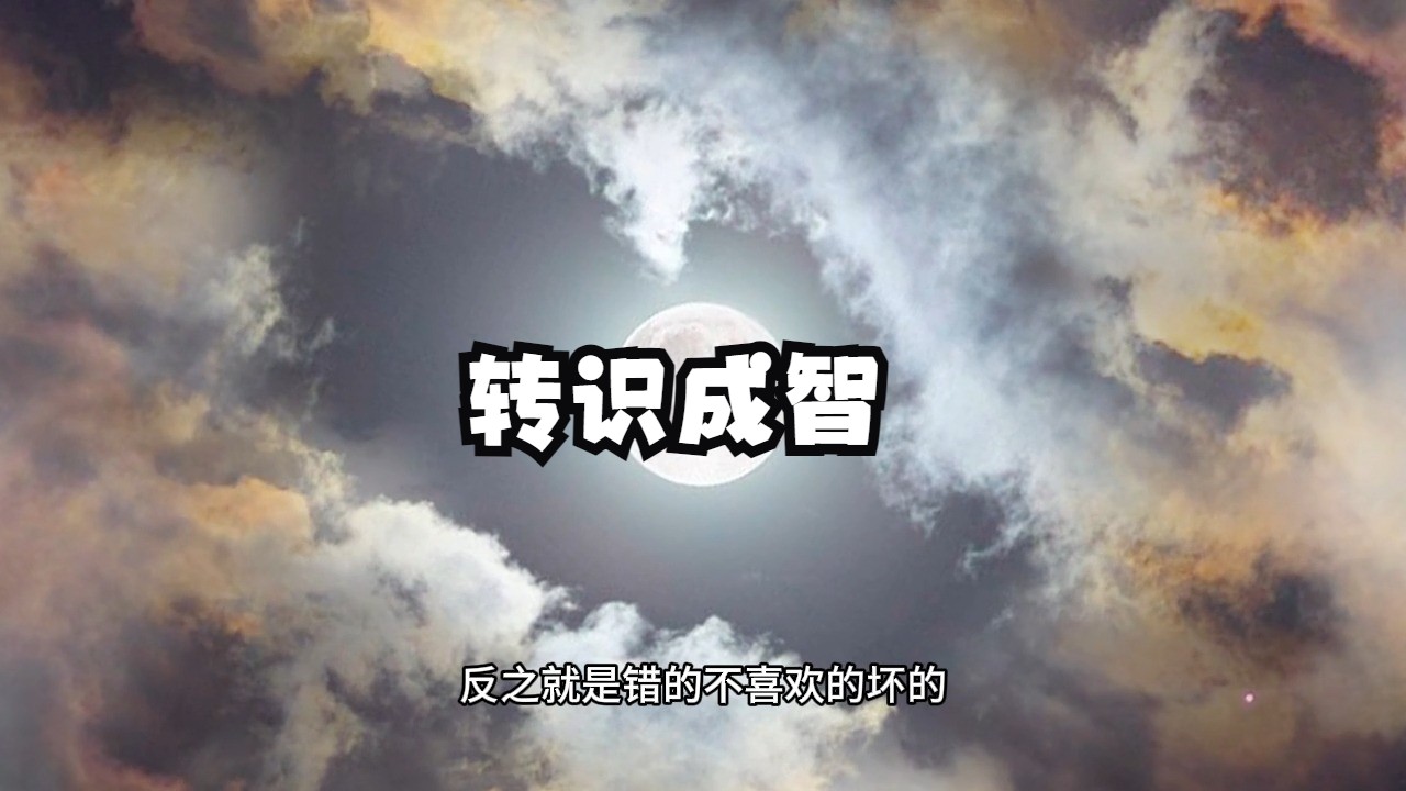 什么才是真正的转识成智?怎样才能在当下转识成智呢?以觉为我,四智立升!哔哩哔哩bilibili