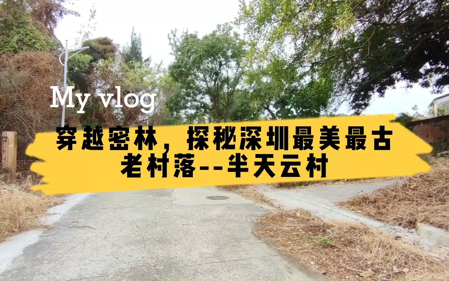 深圳半天云村,深圳最美古老村落之一,90%的深圳人不知道在哪里哔哩哔哩bilibili