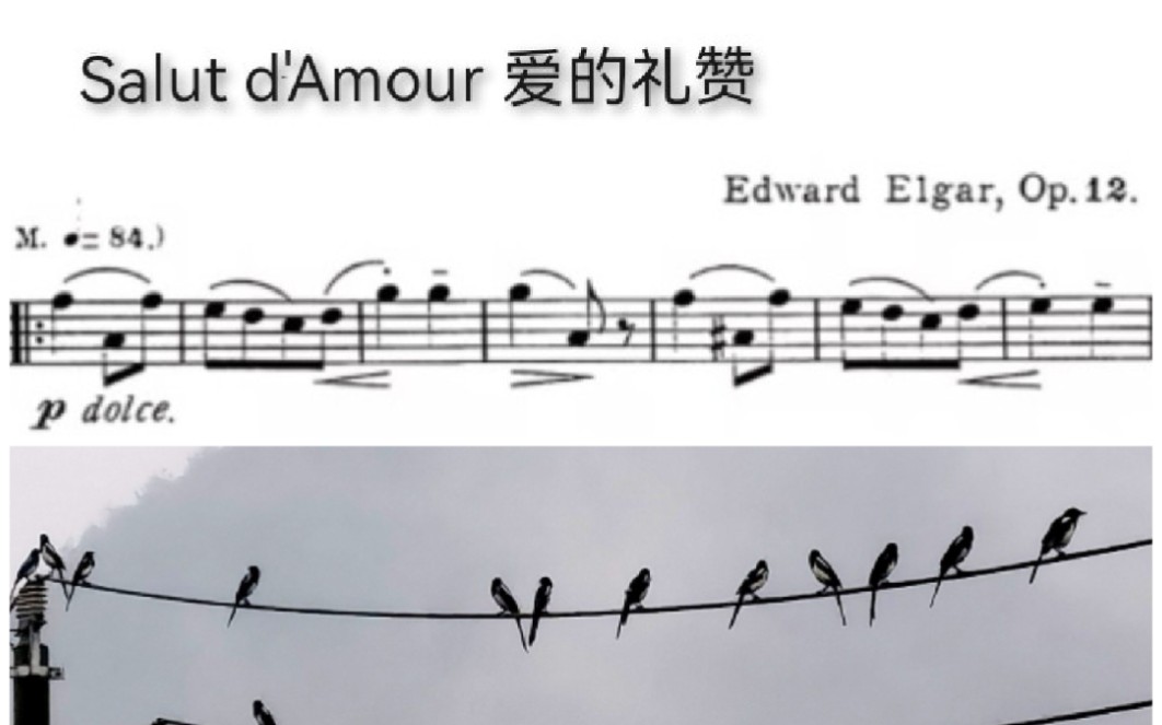 [图]长笛-曲谱同步-Salut d'Amour 爱的礼赞