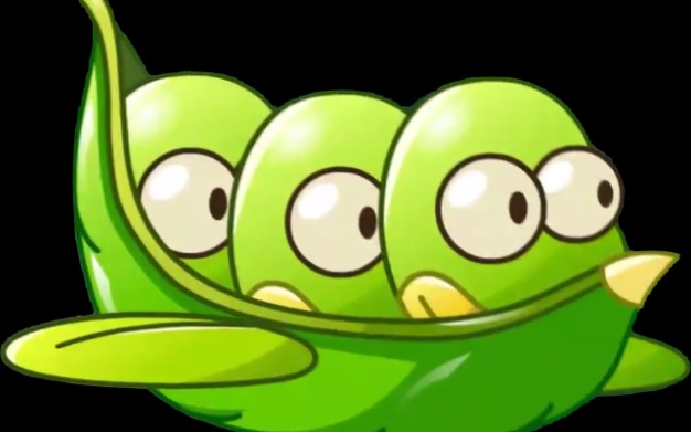 pvz/种子雨〗安静的视频安静的直播间