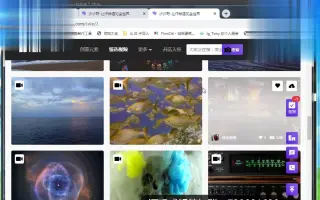 如何用抓取整个网站的小视频！某种小视频同理可用哦！嘿嘿嘿