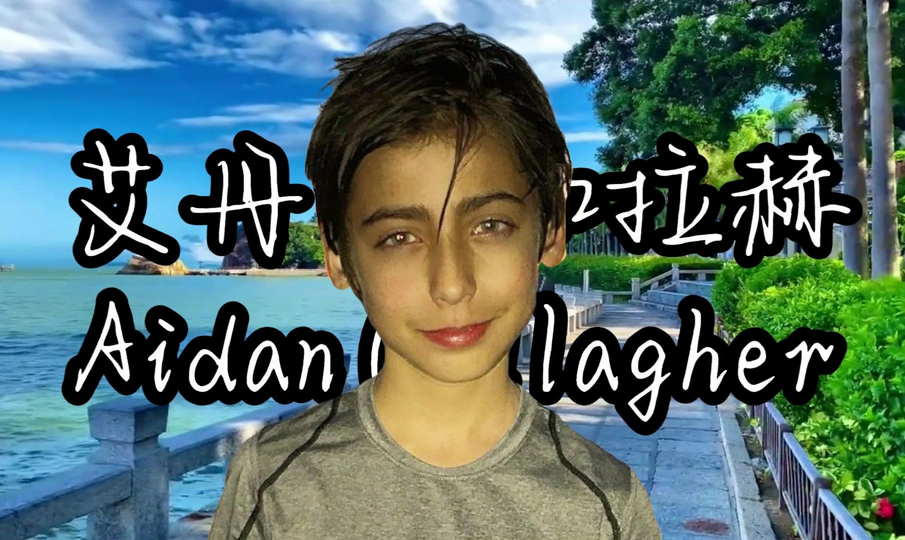 幽默小孩与家有儿女中的刘星有得一拼,艾丹ⷥŠ 拉赫 Aidan Gallagher.哔哩哔哩bilibili