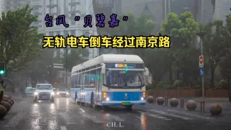 Télécharger la video: 14路电车在台风“贝碧嘉”影响下倒车经过南京路