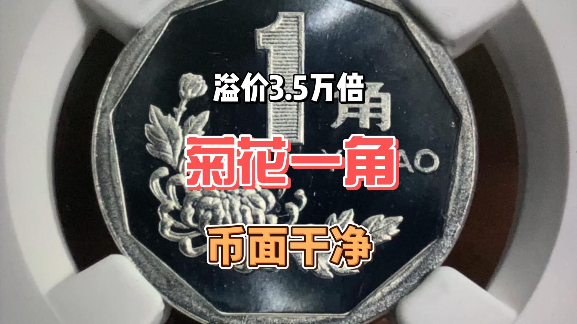 溢价3.5万倍的菊花一角,底板干净无划痕,冠军分品种!哔哩哔哩bilibili