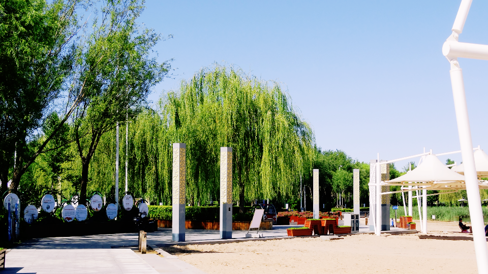 索尼hx 300长焦相机,拍摄东营森林乐园(1)