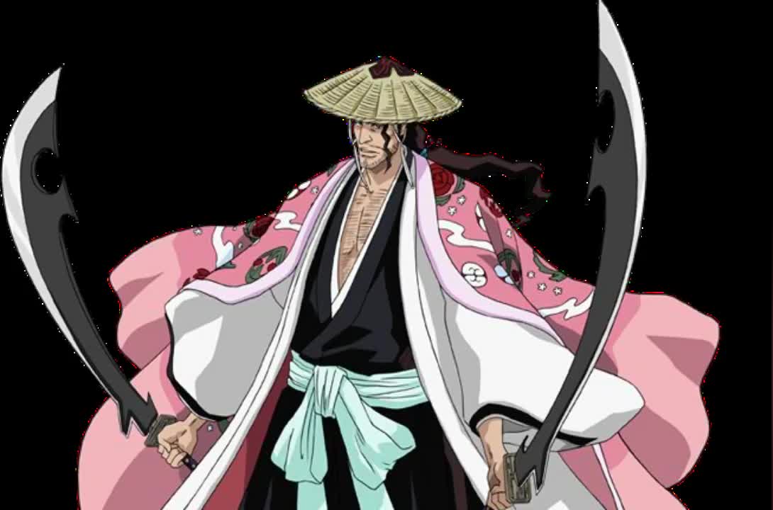 【bleach】动漫死神--护庭十三队队长,看你认识几个