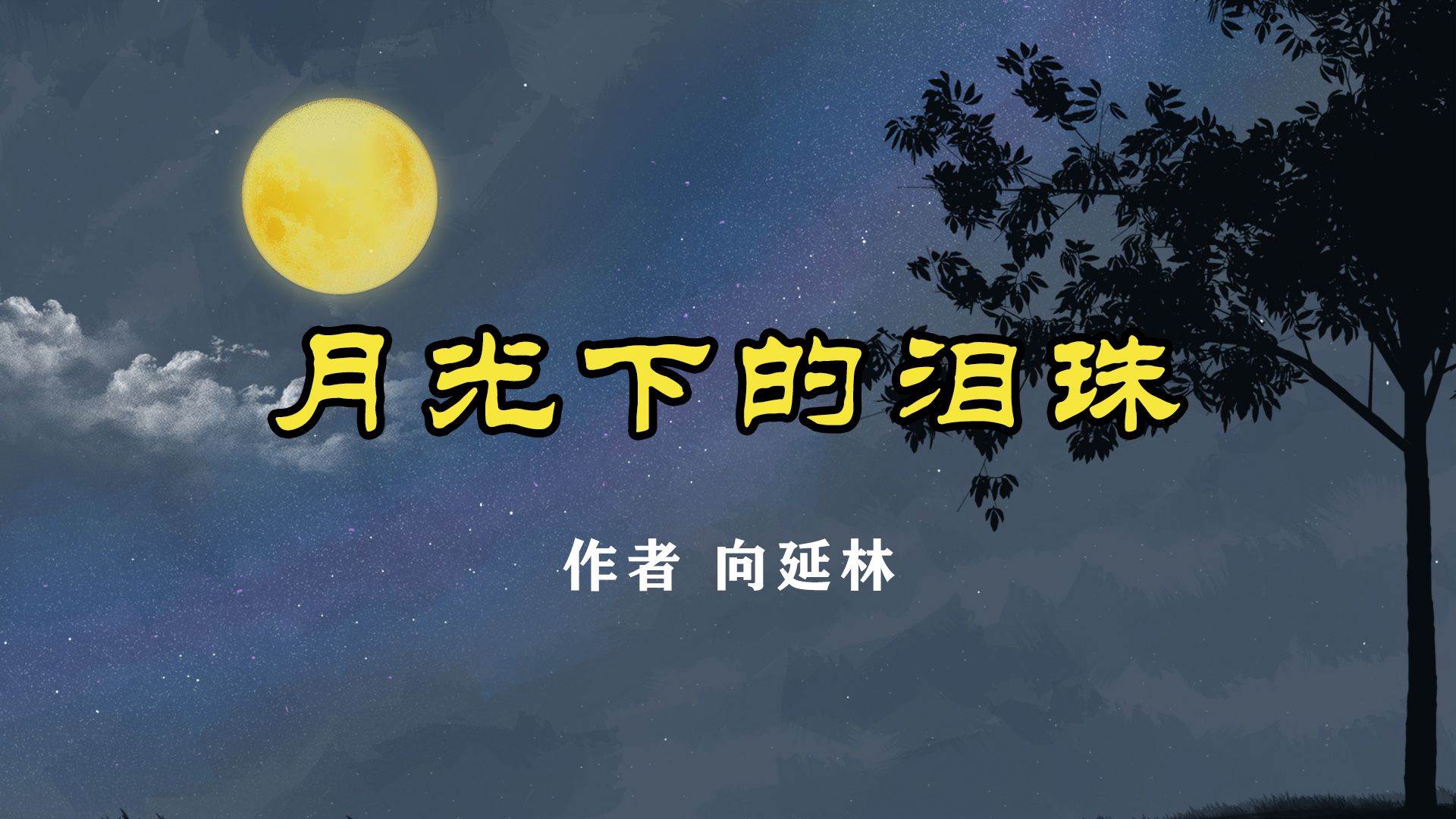 《月光下的泪珠》 作者 向延林哔哩哔哩bilibili