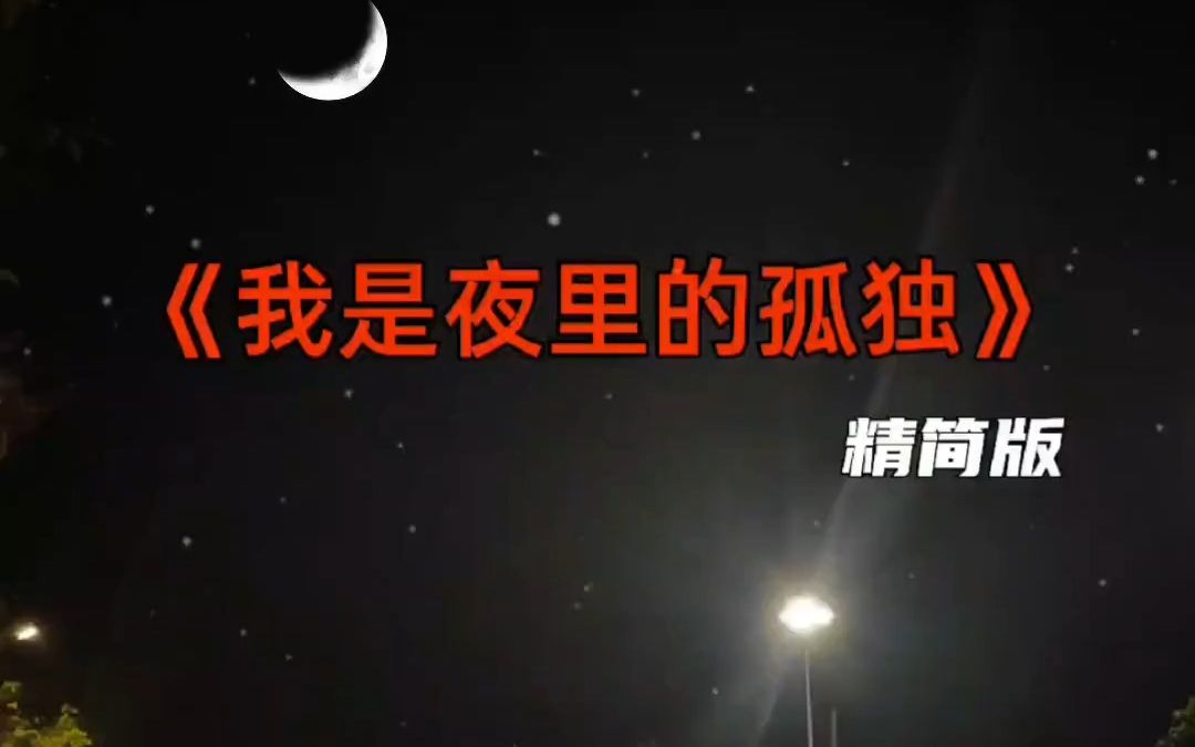 [图]今日音乐分享 我是夜里的孤独 精简版