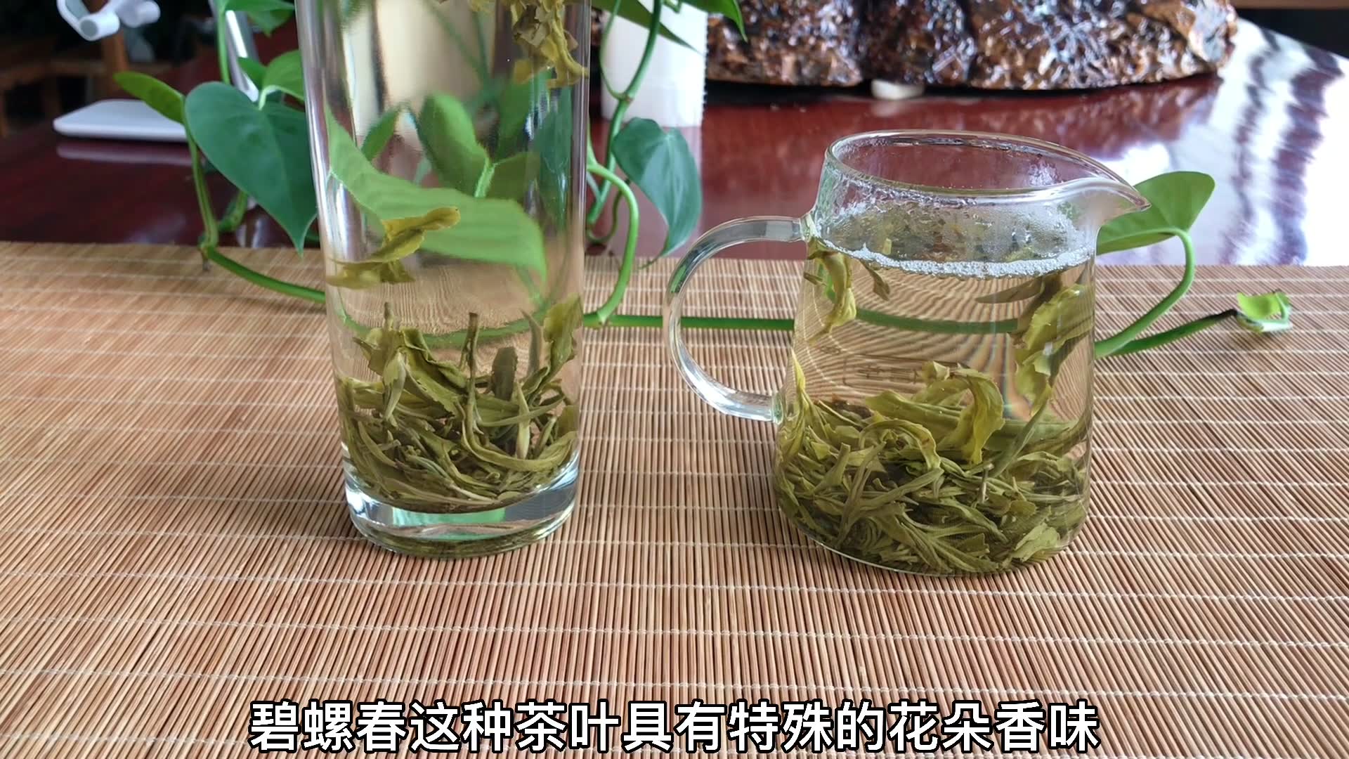 哪些茶属于绿茶,常见的绿茶你知道几个?哔哩哔哩bilibili