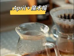 Download Video: 手冲咖啡丨April + 魔术帽 确实很配