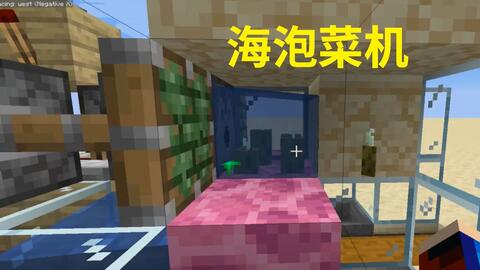 Minecraft我的世界 极其简易的海泡菜机 评论区有最新版75k效率的 哔哩哔哩 Bilibili