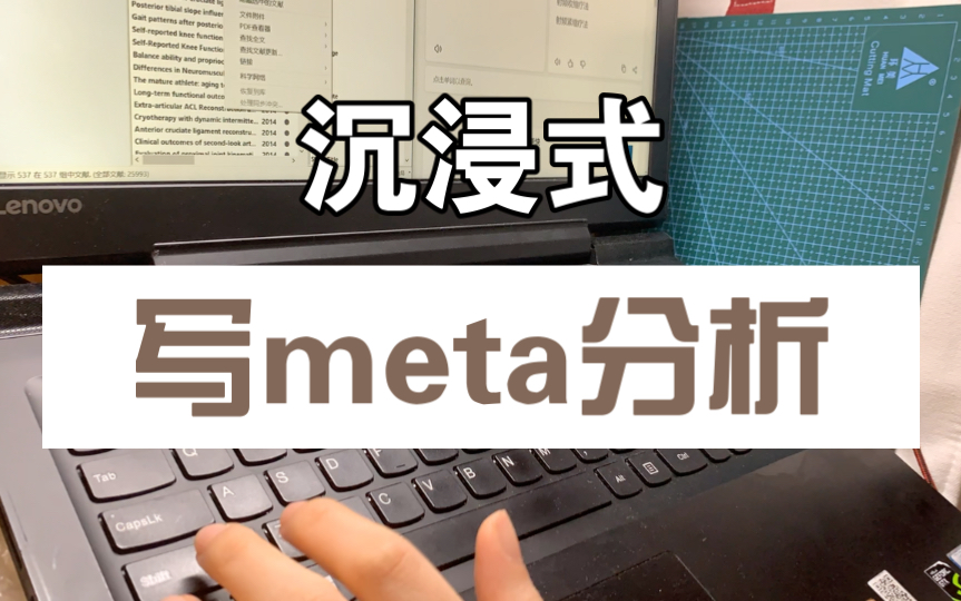 沉浸式写meta分析|筛文章+吃饭摸鱼|study with me哔哩哔哩bilibili