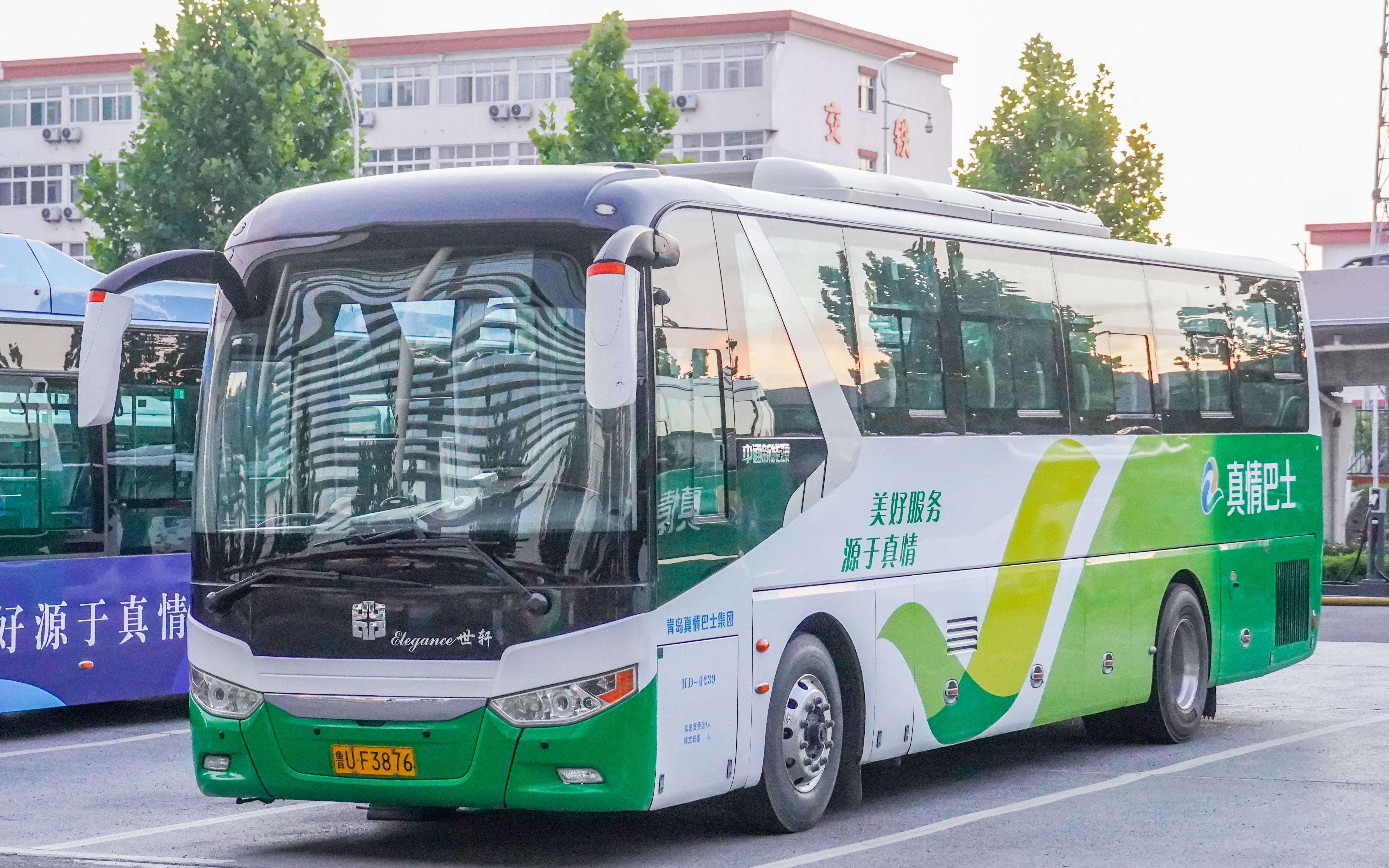 【归梦胶济pov第127】青岛真情巴士集团k19路(西海岸综合保税区→青岛