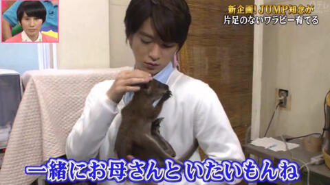 Hey Say Jump 天才 志村动物园2小时sp 标清生肉 哔哩哔哩 Bilibili