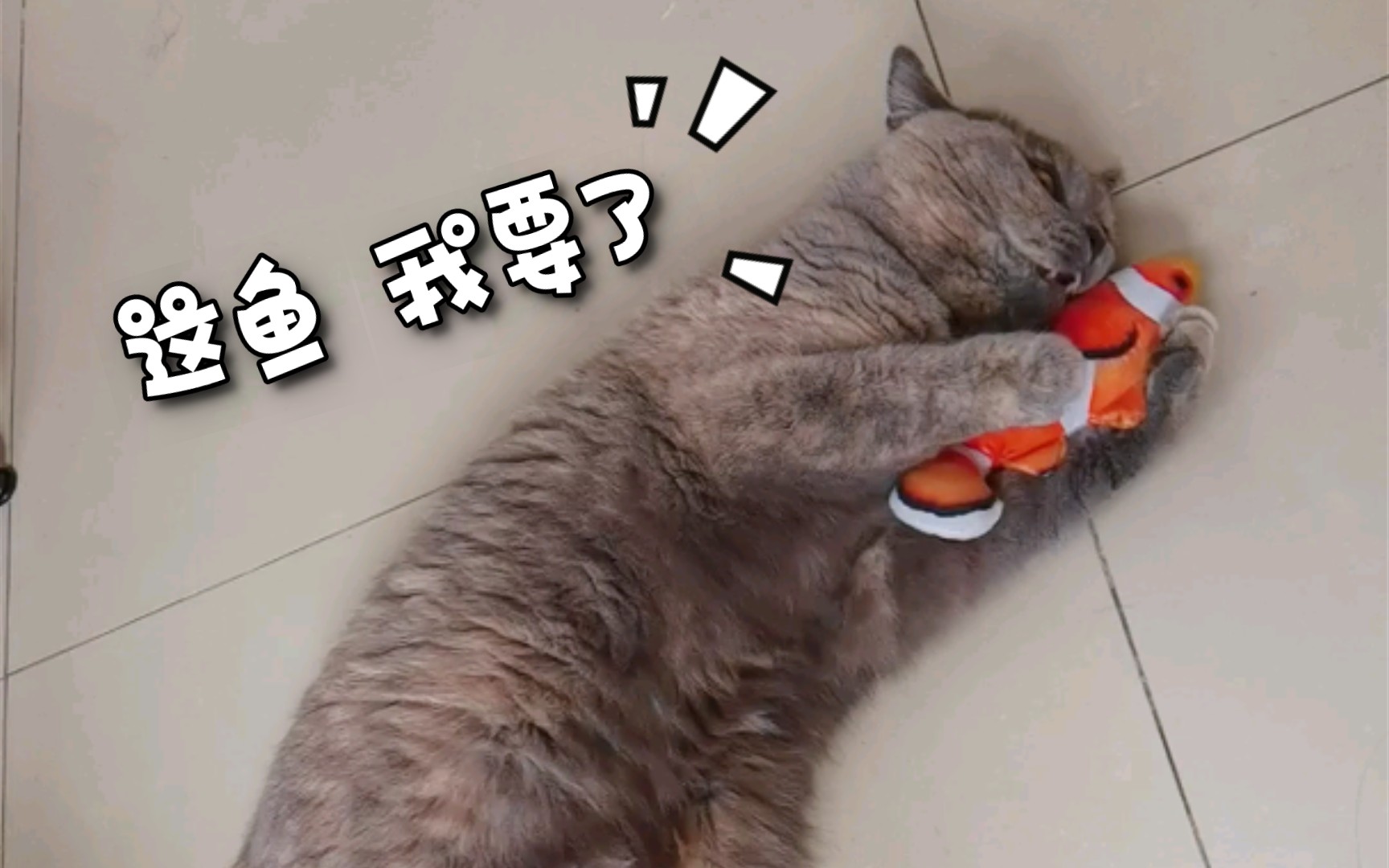 咪路的霸总式喜爱