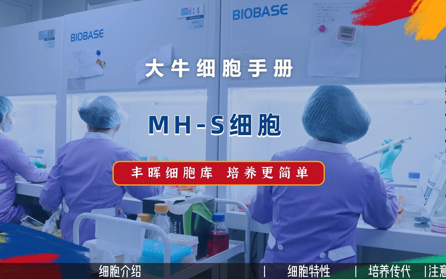 丰晖生物细胞库培养手册:MHS细胞培养,小鼠肺泡巨噬细胞培养攻略.哔哩哔哩bilibili